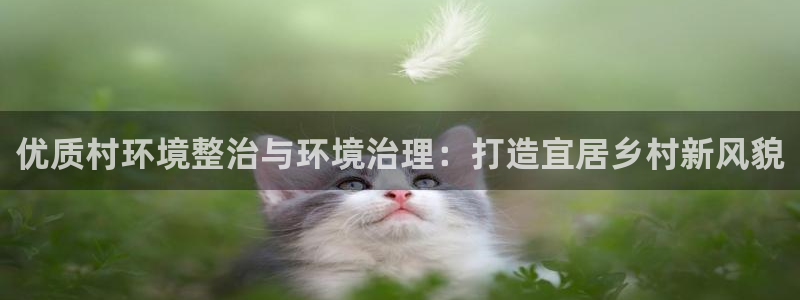 凯发唯一官方网站：优质村环境整治与环境治