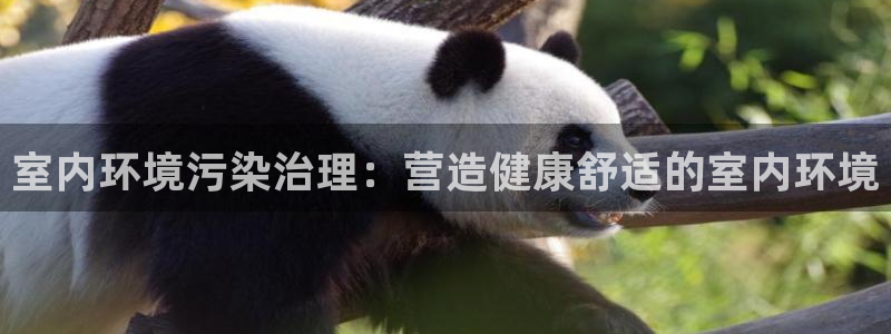 天生赢家K8