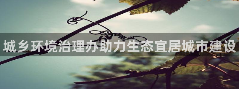 凯发k8国际唯一|城乡环境治理办助力生态