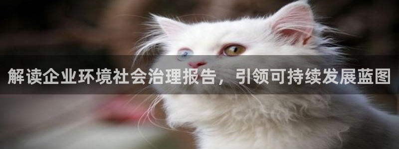 凯发k8国际唯一|解读企业环境社会治理报