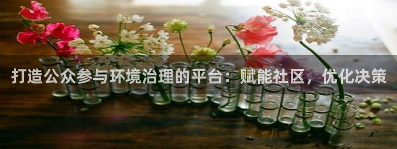凯发官网入口首页|打造公众参与环境治理的平台：赋能社区，优化决策