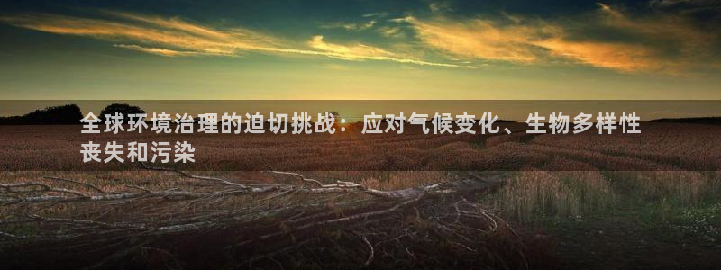 凯发k8天生赢家一触即发|全球环境治理的