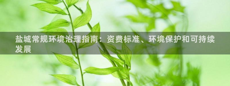 凯发k8网站是多少|盐城常规环境治理指南