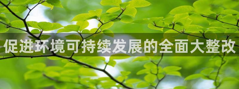 凯发k8·中国官方网站