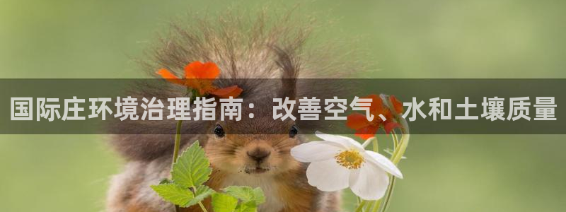 凯发k8旗舰厅注册登录|国际庄环境治理指南：改善空气、水和土壤质量